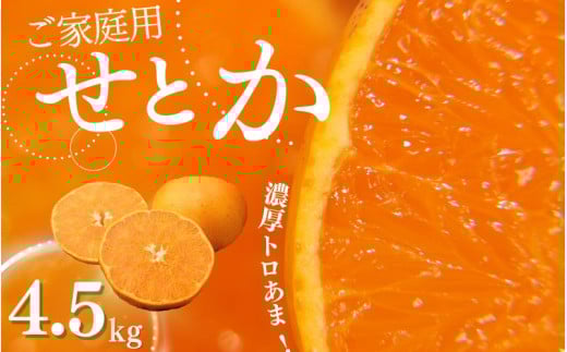 【先行予約】ご家庭用 たにぐち農園のせとか 4.5kg 大小混合【2026年3月から4月上旬までに順次発送】 / 家庭用 ご家庭用 せとか みかん 蜜柑 サイズ 不揃い