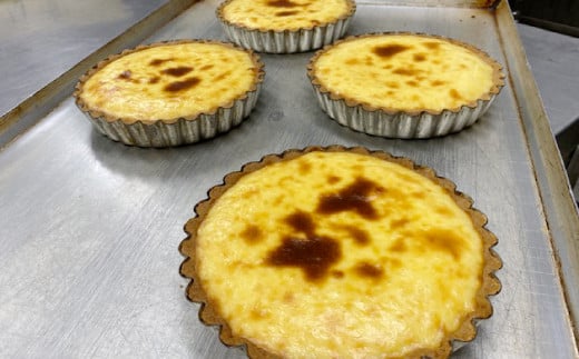 フロマージュ【 ケーキ お菓子 冷凍配送 おやつ おしゃれ 贈り物 ギフト プレゼント お土産 】 2136780 - 島根県奥出雲町