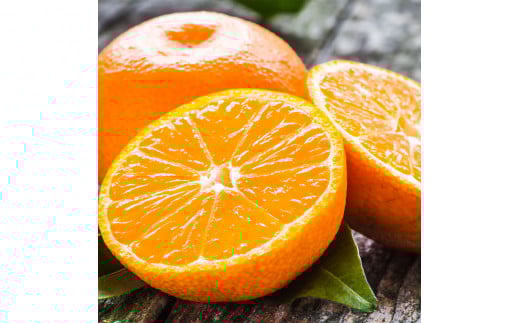 訳ありみかん 約5kg みかん 蜜柑 果物 くだもの フルーツ 【2025年10月下旬～2026年2月下旬発送予定】