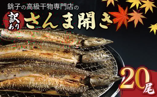訳あり 国産 さんま20尾 さんま開き さんま サンマ 秋刀魚 開き 銚子 水揚げ 海鮮 魚介 干物 塩焼き 焼き魚 煮付け 蒲焼き アレンジ レシピ 肉 厚 朝食 夕食 おかず お弁当 惣菜 米 のお供 酒 の つまみ 魚 魚貝 高級 冷凍 新鮮 人気 お取り寄せ グルメ 贈答 贈答用 ギフト 10尾ずつ 小分け おすすめ ふるさと納税 ふるさと納税さんま 送料無料 千葉県 銚子市 一政水産
