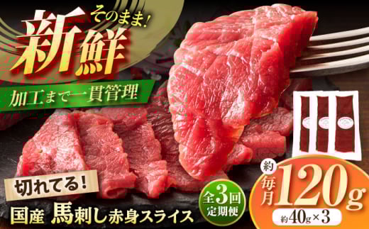 【全3回定期便】まな板不要! フジチク 切れてる 国産馬刺し 3P 計約120g【株式会社フジチク】 [BHAD102]