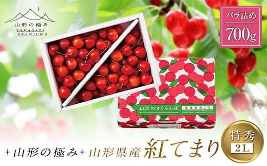 【山形の極み】山形県産 さくらんぼ 紅てまり 700g 特秀 2L バラ詰め 2025年6月下旬から順次発送 F2Y-6284