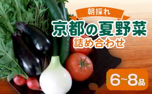 夏野菜 6～8種 セット 夏 お届け 京野菜 京都 なす トマト コーン ミニトマト きゅうり 野菜 夏野菜 おまかせ 有機 栽培 10000 円 1万円 季節限定 