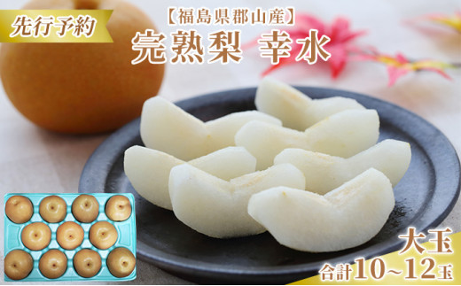 【先行予約】【福島県郡山産】完熟梨 幸水 大玉（10～12玉） 果物 フルーツ 食後 デザート おやつ 程よい酸味 強い甘み 朝摘み 1275777 - 福島県郡山市