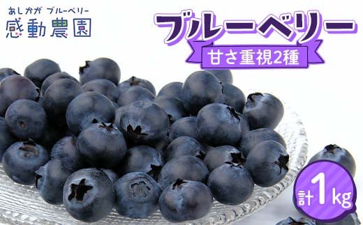 ブルーベリー 甘み重視2種セット 計1kg 冷蔵 栃木県 足利市 F7Z-1357