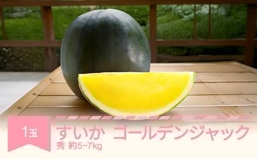 【先行予約】 すいか ゴールデンジャック 1玉 5kg~7kg 2025年産 令和7年産 no-sugjx1 2089361 - 山形県村山市