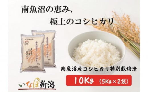 【令和7年産新米予約】南魚沼産コシヒカリ特別栽培米 白米 10kg(5kg×2)【2025年10月上旬より順次発送予定】 2097538 - 新潟県南魚沼市