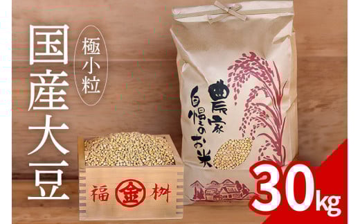 大豆 30kg 極小粒 岡田ファーム だいず ダイズ 国産 小粒 大容量 料理 煮豆 豆乳 納豆 用途多彩 健康食品 高たんぱく 保存食 産地直送 送料無料 (B02-026) 1261179 - 茨城県石岡市