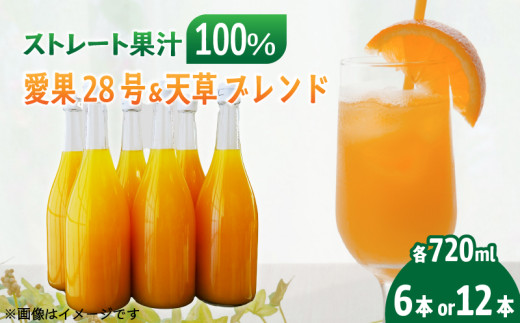 あいか ＆ 天草 ブレンド 果汁100％ ジュース 720ml×6本/12本 | 愛果28号 紅まどんな と同品種 果汁100% 無添加 ストレートジュース 数量選択可 みかんジュース 果汁100% みかんジュース ストレート 100% ジュース 柑橘 果汁飲料 みかんジュース NPO法人農音 愛媛県 松山市 中島