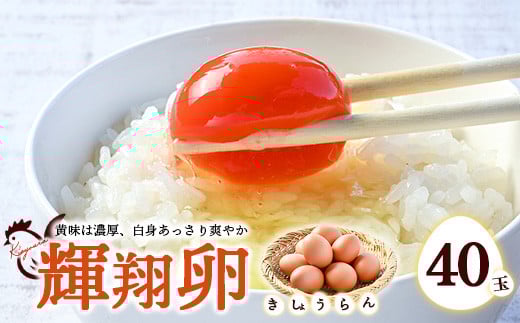 黄身は濃厚、白身あっさり爽やか こだわり卵【輝翔卵】40玉 ※着日指定不可 ※離島への配送不可 1281584 - 栃木県宇都宮市