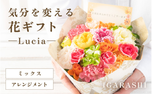 気分を変える花ギフト -Lucia- (アレンジメント・ミックス) [aw062-a002_01] 1018389 - 福井県あわら市