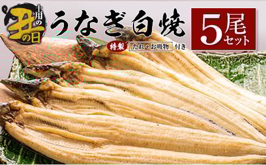 【土用の丑の日】うなぎ白焼5尾セット 計905g以上 中村商店