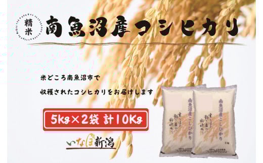 【令和7年度産新米予約】南魚沼産コシヒカリ 白米 10kg【2025年10月上旬より順次発送予定】 2097543 - 新潟県南魚沼市