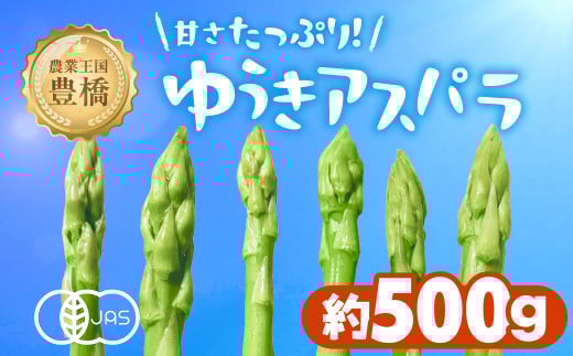 有機栽培アスパラガス 約 500g 有機栽培 有機 アスパラ グリーンアスパラ やさい 自然 安心安全 旬 オーガニック 送料無料 愛知県 豊橋市