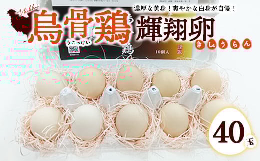 烏骨鶏 濃厚な黄身!爽やかな白身が自慢!【烏骨鶏輝翔卵】40玉 ◇ ※離島への配送不可 1281581 - 栃木県宇都宮市