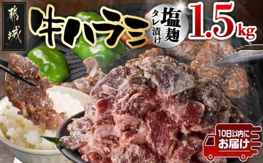 牛ハラミ 塩麹タレ漬け1.5kg≪みやこんじょ特急便≫_14-3305-Q_(都城市) 味付き牛ハラミ 300gパック 真空 小分け 1500g