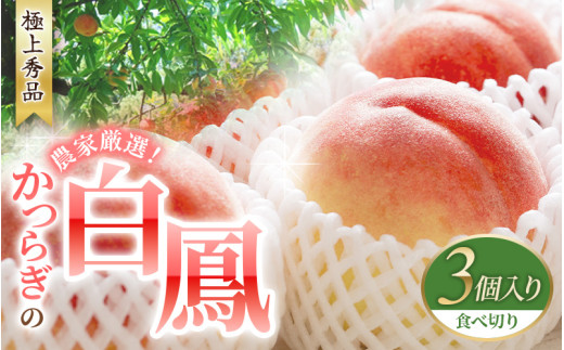 桃 【2025年先行予約】 白鳳　桃の王様！食べきりやすい３個入り【2025年6月下旬頃より順次発送】【秀品】こだわり農家厳選 桃 モモ フルーツ 果物 くだもの 人気 産地直送 厳選 甘い 予約 もも フルーツ王国【kgr010】 1445340 - 和歌山県由良町