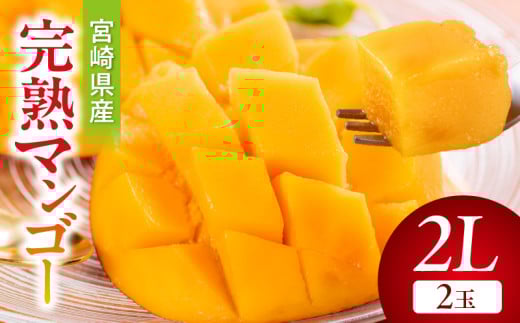 【期間・数量限定】宮崎県産完熟マンゴー2L(2玉)_M359-002-02