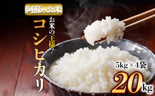 べる内容量】阿蘇の美味しいお米をお届け！20kg コシヒカリ 農家指定無 令和6年産 お米 米 コシヒカリ 精米 白米  ふるさと納税 おすすめ 令和6年度 20kg 阿蘇米 阿蘇のお米 ご飯 ごはん 美味しい 寒暖差 湧き水 お取り寄せ 食卓 豪華 贅沢 自然 湧水 熊本県 阿蘇市 2097330 - 熊本県阿蘇市