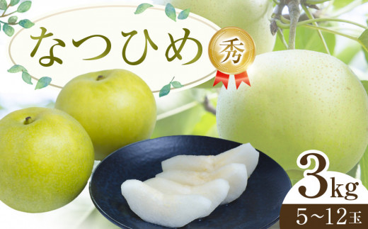 300.【先行予約】なつひめ◇　※2025年8月中旬～9月上旬頃に順次発送予定 660957 - 鳥取県北栄町