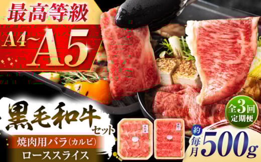 [全3回定期便]くまもと黒毛和牛「藤彩牛」2種の食べ比べ計500g 3900[株式会社フジチク] [BHAD036]