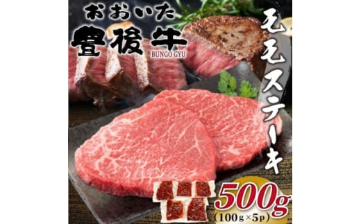 おおいた豊後牛モモステーキ 約500g(100g×5P)(日出町)【1571740】 2097878 - 大分県日出町