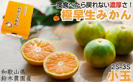 ゆら早生みかん 又は YN26【２S～３Sサイズ】小玉サイズ３kg【和歌山のゆら早生みかん】10月～11月に〈昔ながらのみかん〉鈴木みかん農園より農園直送※北海道・沖縄・離島への配送不可 ミカン 蜜柑 mikan 温州みかん 温州ミカン 下津みかん ゆら早生 早生みかん 極早生みかん 2090868 - 和歌山県海南市