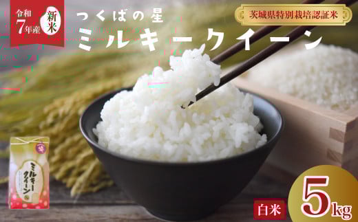 【先行予約 令和7年産 新米 】ミルキークイーン 低アミロース つくばの星 白米５kg |  特別栽培認証米 ミルキークイーン 特長のある米 GAP認証 森 ミネラル 水 山田川 安全 安心 美味しい 米 人気 低アミロース 茨城県 常陸太田市 1356695 - 茨城県常陸太田市