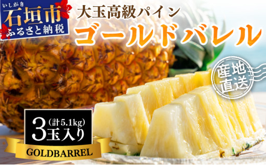 【先行予約】《2025年夏季 順次発送》ゴールドバレルパイン 大玉3個入り 計5.1kg 【 産地直送 沖縄 石垣 フルーツ パイナップル パイン ゴールドバレルパイン 】SI-40 1336312 - 沖縄県石垣市