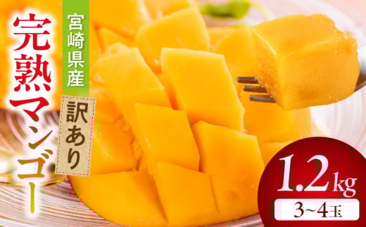 【期間・数量限定】宮崎県産訳あり完熟マンゴー1.2kg(3～4玉)_M359-006