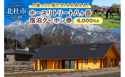 ホースリトリート八ヶ岳　宿泊クーポン 6,000円分 宿泊 クーポン券 宿泊券 養老牧場 体験 自然 山梨県 北杜市 八ヶ岳