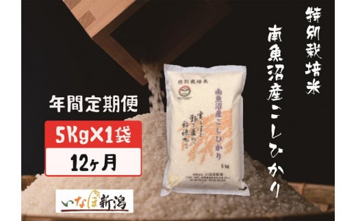 【令和7年度産新米予約】【定期配送】南魚沼産コシヒカリ特別栽培米 白米 5kg 全12回【2025年10月上旬より順次発送予定】 2097539 - 新潟県南魚沼市