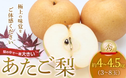 305.あたご梨　秀　約4kg以上～4.5kg未満（3～8玉前後）◇　※2025年11月下旬～2026年2月中旬頃に順次発送予定 553978 - 鳥取県北栄町