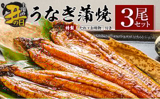 【土用の丑の日】うなぎ蒲焼3尾セット 計543g以上 中村商店