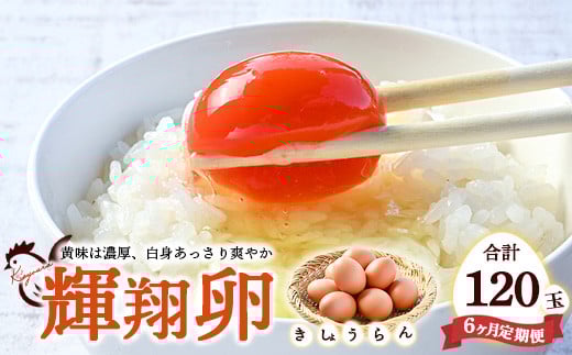 【6ヶ月定期便】黄身は濃厚、白身あっさり爽やか こだわり卵【輝翔卵】20玉×6ヶ月 合計120玉 ※着日指定不可 ※離島への配送不可