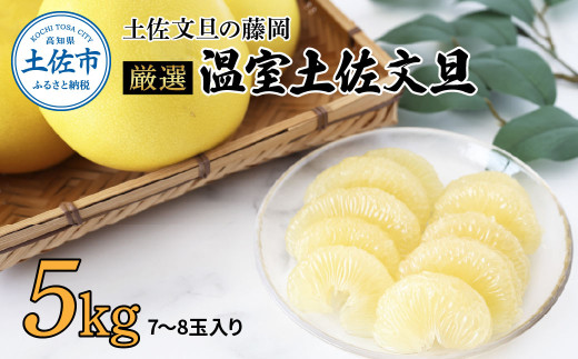 ＜土佐文旦の藤岡＞先行予約　厳選 温室土佐文旦 5kg (7～8玉）文旦 ぶんたん ブンタン 土佐文旦 ハウス栽培 甘い  柑橘 フルーツ 果物 ご当地 お取り寄せ