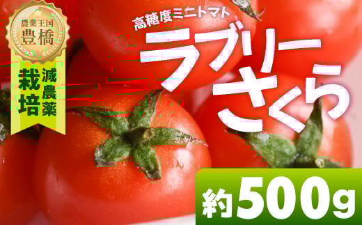 あま～い！ミニトマト 約 500g トマト ミニトマト 濃厚 甘い 美味しい 高糖度 完熟 tomato とまと やさい 自然 安心安全 旬 送料無料 愛知県 豊橋市