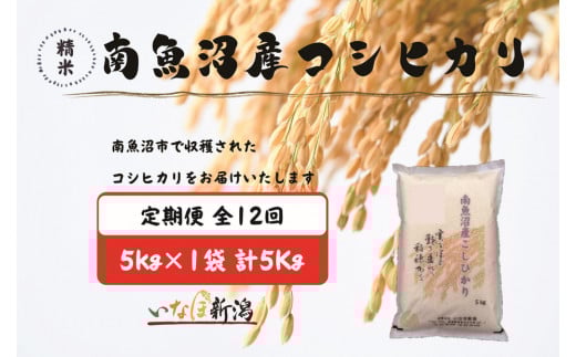 【令和7年産】【定期配送】南魚沼産コシヒカリ 白米 5kg 全12回【2025年10月上旬より順次発送予定】 2097544 - 新潟県南魚沼市