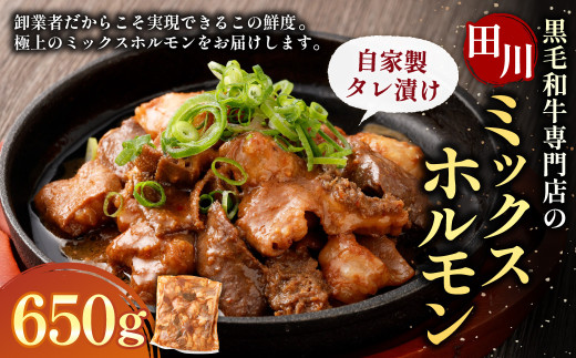九州産 黒毛和牛 ミックスホルモン（自家製タレ漬け） 650g×1個 / ホルモン ミックスホルモン 牛肉 黒毛和牛