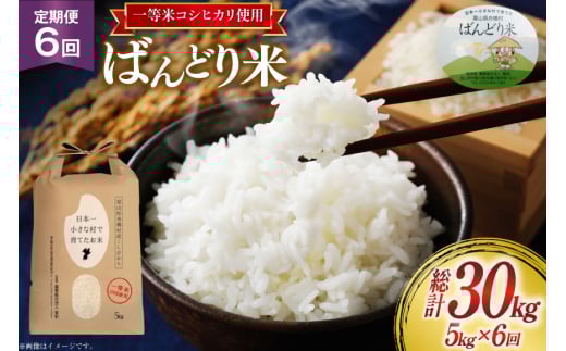 【6ヶ月定期便】【一等米100％】米 令和7年産 ばんどり米（コシヒカリ）精米 5kg 計30kg [農事組合法人東和 富山県 舟橋村 57050215] お米 白米 美味しい こしひかり 富山 農家 令和7年