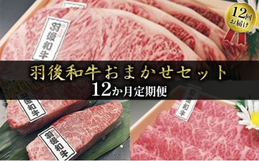 希少部位も有り 部位・量おまかせ!羽後和牛定期便(12ヶ月)