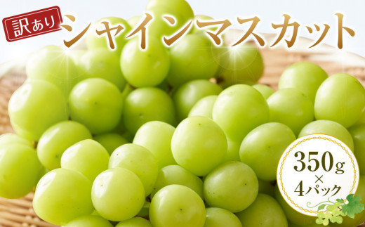 929.【訳あり】シャインマスカット 350g×4パック ≪果物 フルーツ くだもの≫　※2025年8月下旬頃～9月下旬頃に順次発送予定 1459209 - 鳥取県北栄町