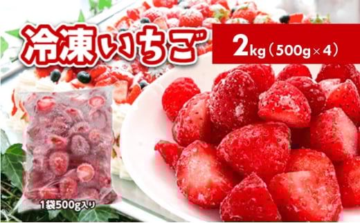 冷凍いちご 2kg(500g×4)国産 イチゴ ジャム スムージー お菓子づくり 997446 - 秋田県羽後町
