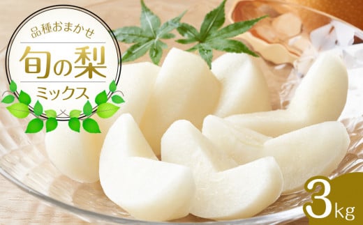 308.【先行予約】【品種はおまかせ】旬の梨ミックスセット 3kg　※2025年8月下旬～12月下旬頃に順次発送予定 553981 - 鳥取県北栄町