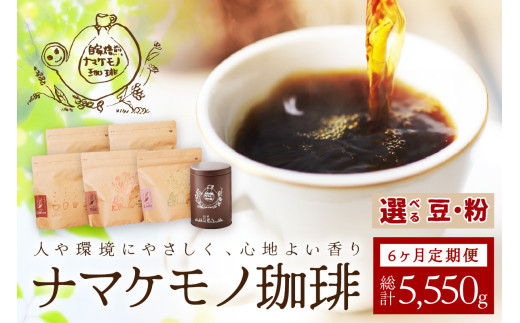 スローな浜田で焙煎をした珈琲（925g×6回の定期便）＜粉でのお届け＞【023_1913】