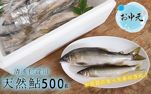 ★お中元★　フレッシュマートキシモトさんの天然鮎（冷凍）500g 2098010 - 高知県いの町