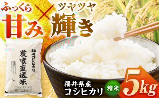 福井県産こしひかり　精米　5kg（ビニール袋） 小浜市 / シマダ農園 [BFAV001]
