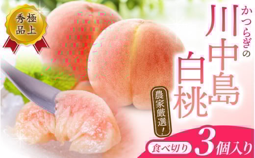 【秀品】川中島白桃 食べきりやすい3個入り 【2025年7月末頃から順次発送】こだわり 農家厳選 先行予約 モモ 【KG16】【kgr012】