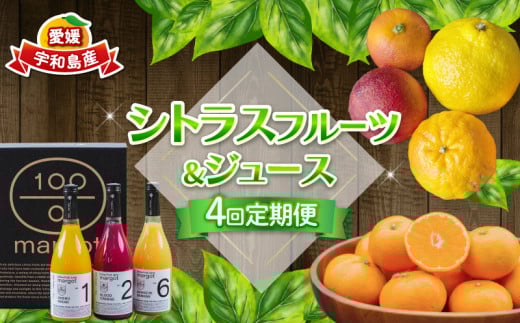 シトラス フルーツ ＆ ジュース 4回 定期便 コルレオファーム 南柑20号 ブラッドオレンジ モロ 甘平 はるか ポンカン タロッコ せとか 清見 不知火 シトラスジュース 720ml ✕ 3本 詰め合わせ 愛媛ミカン 愛媛みかん みかん 柑橘 蜜柑 mikan 温州 果物 くだもの 温州蜜柑 産地直送 数量限定 先行予約 国産 愛媛 宇和島 B052-145019 2145225 - 愛媛県宇和島市