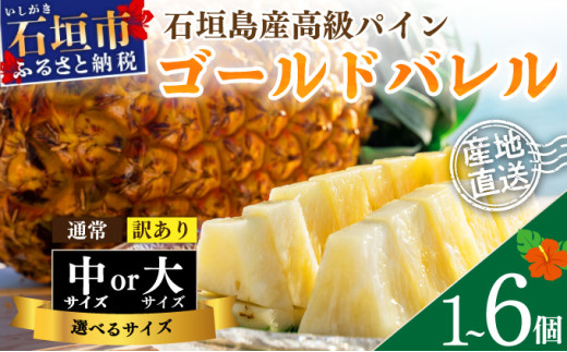 [先行予約][2025年夏季 順次発送]石垣島産・ゴールドバレルパイン 高級パイン [通常・訳あり][選べるサイズ]
